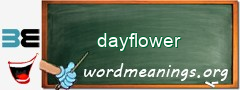 WordMeaning blackboard for dayflower